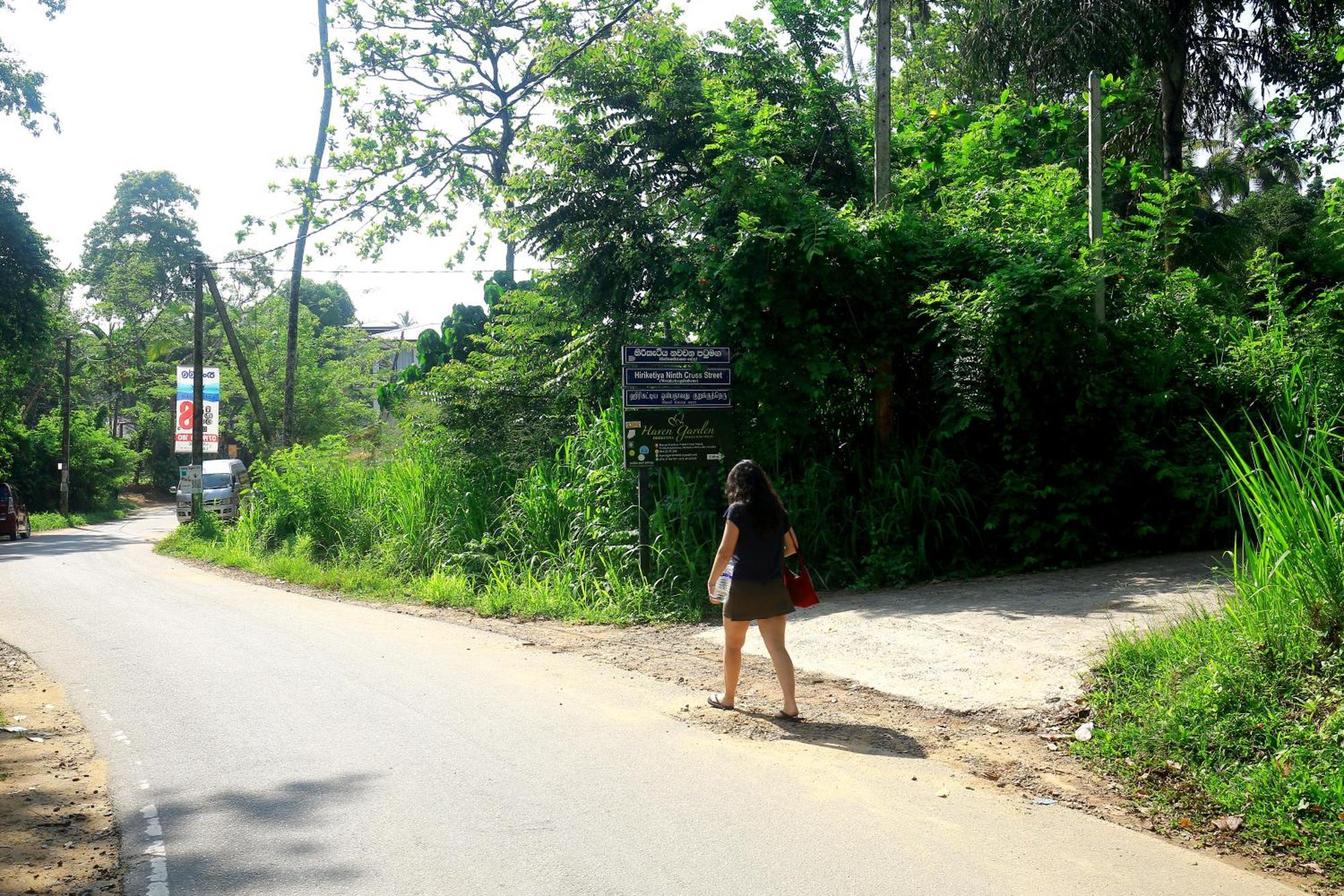 Hiriketiya Don Simon Villa Dikwella Sur Exterior foto